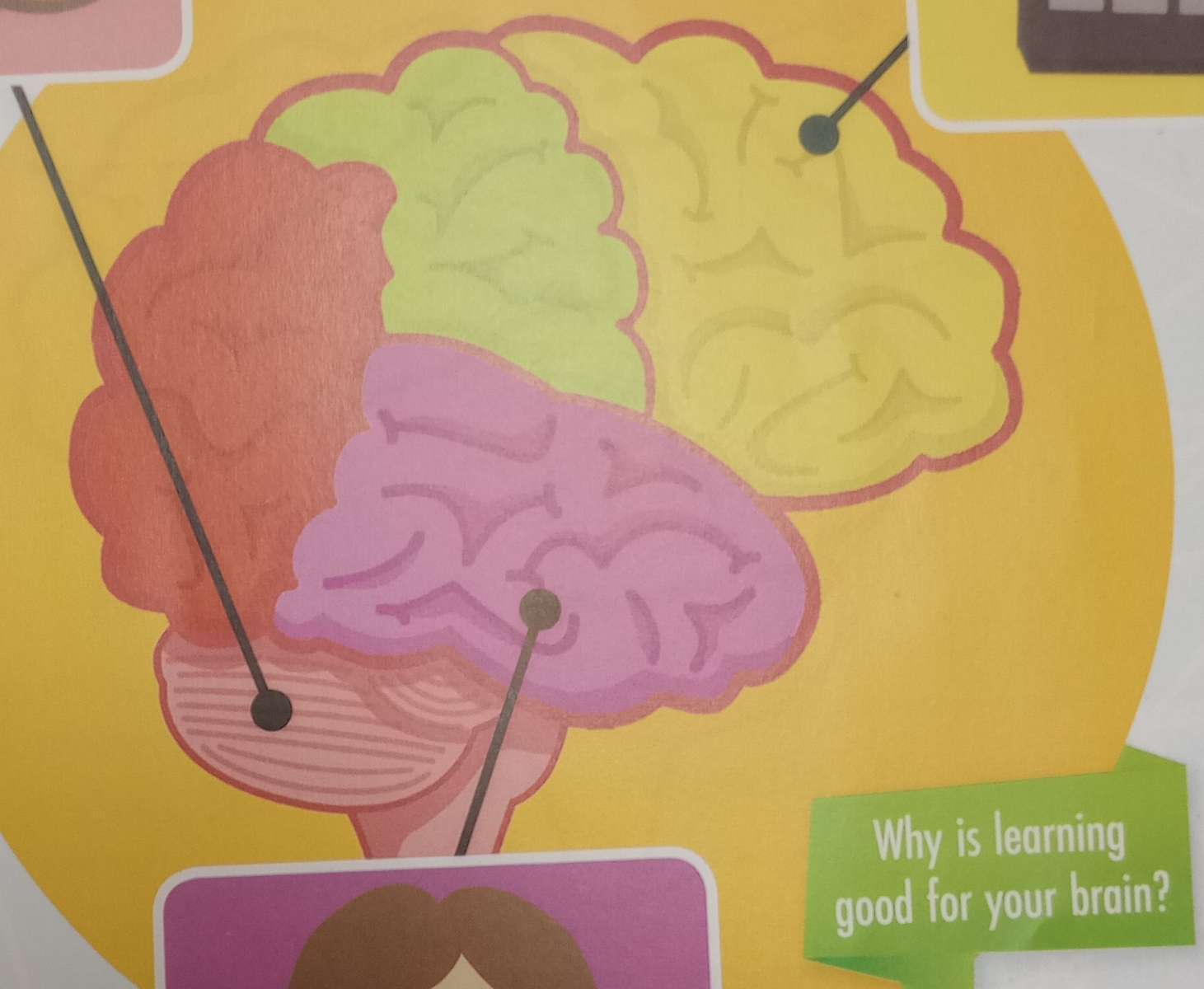 Mozek pro nás online puzzle