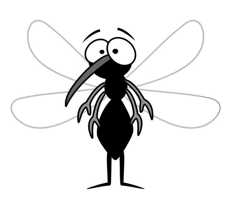 蚊 ジグソーパズルオンライン