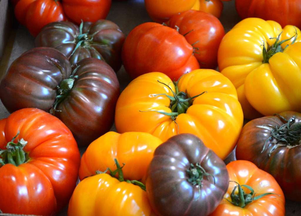 tomateee Pussel online