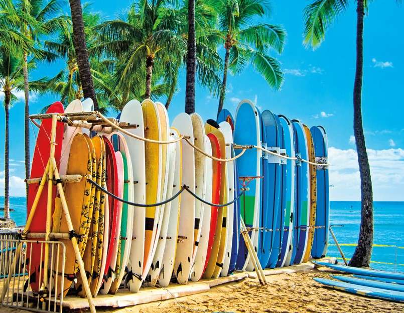 Tabla de surf en la playa de Waikiki rompecabezas en línea