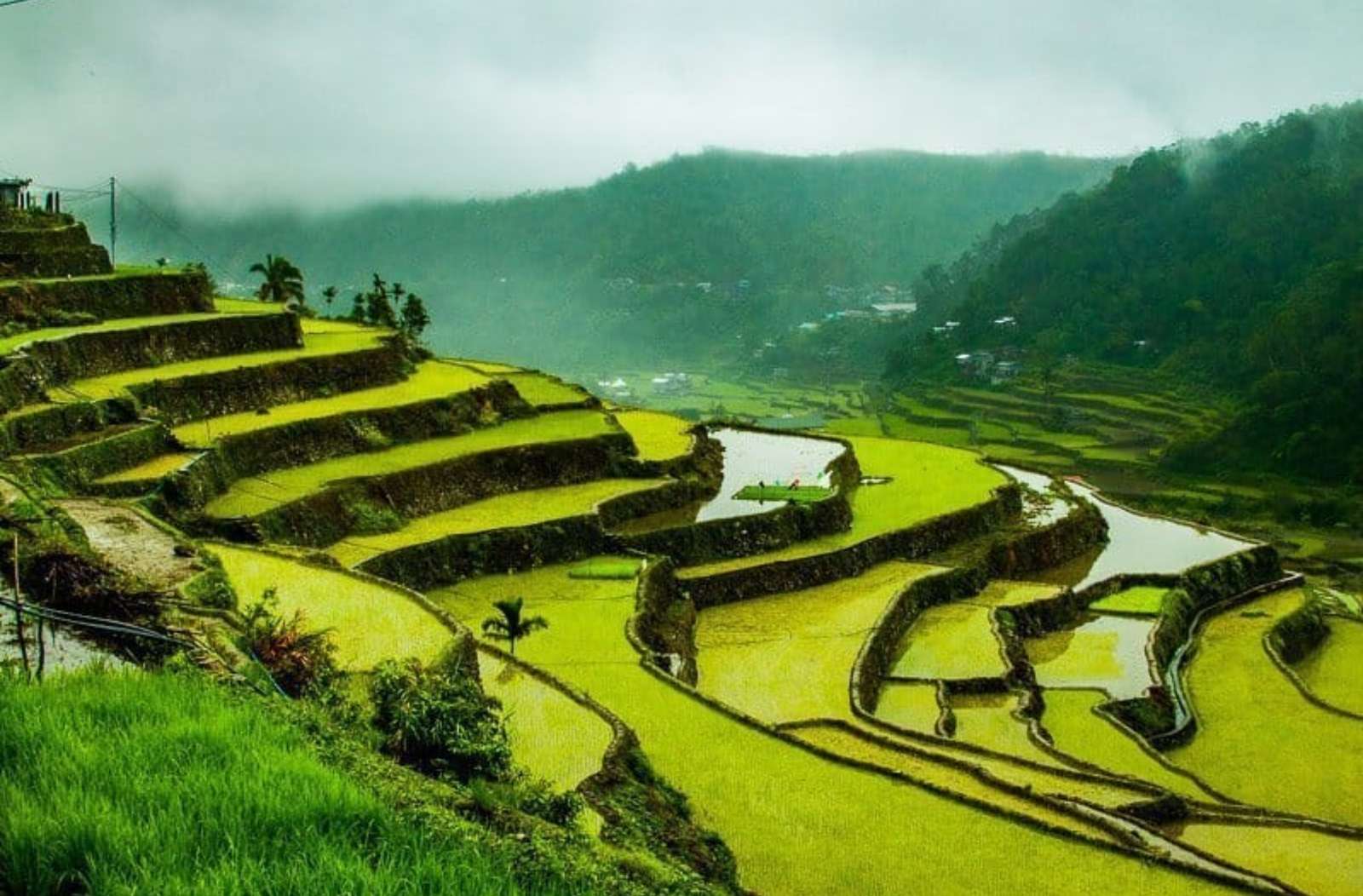 Terraço de arroz de Banaue quebra-cabeças online