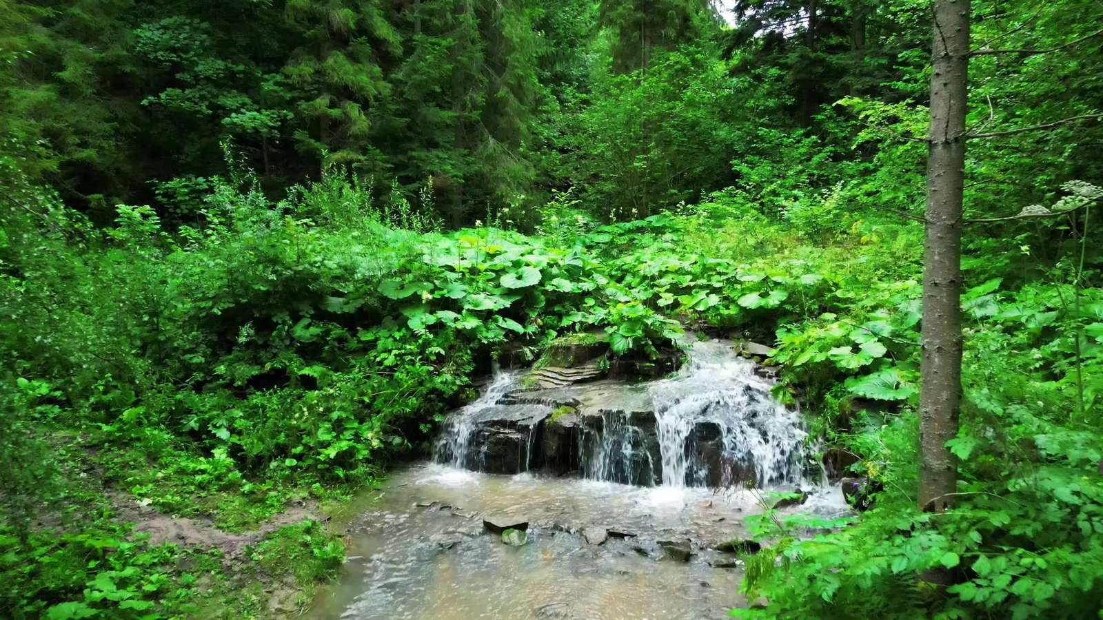 Uma pequena cachoeira na Eslováquia quebra-cabeças online
