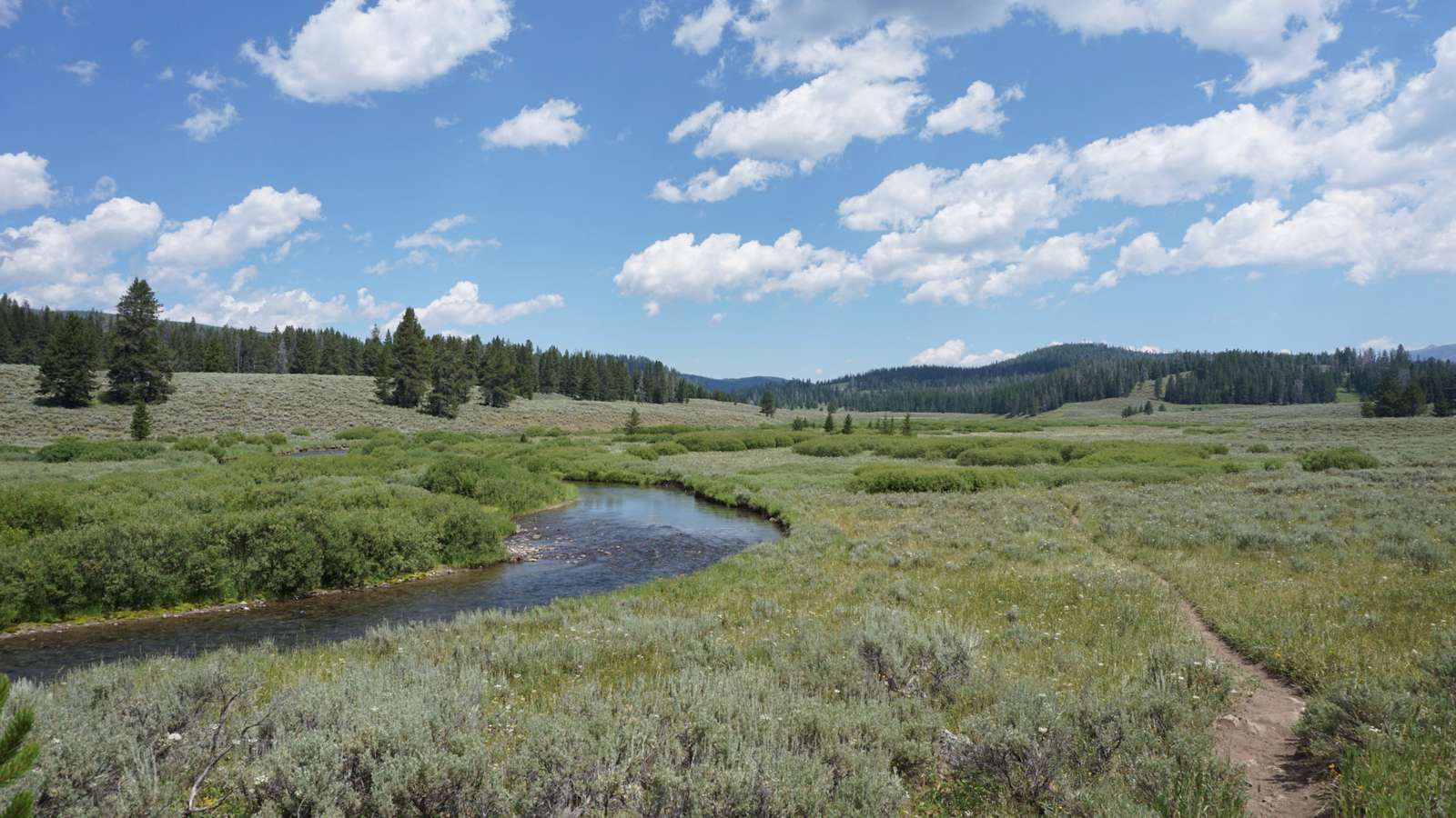 Ένα ρέμα στο πάρκο Yellowstone παζλ online