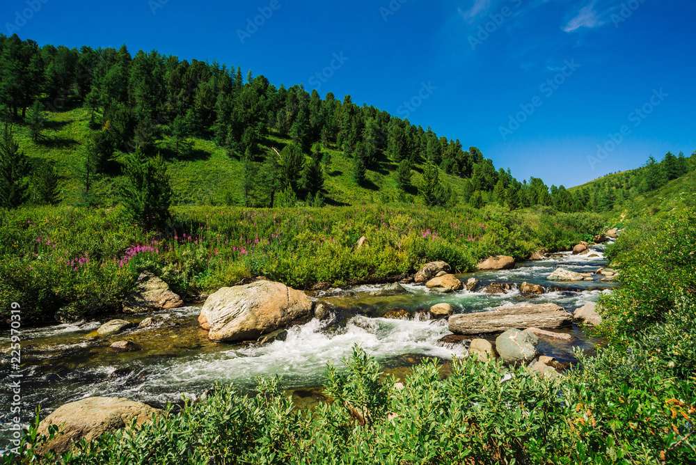 Un pârâu în Munții Altai puzzle online