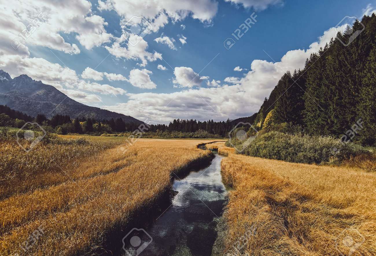 Ручей в горах, Словения онлайн-пазл