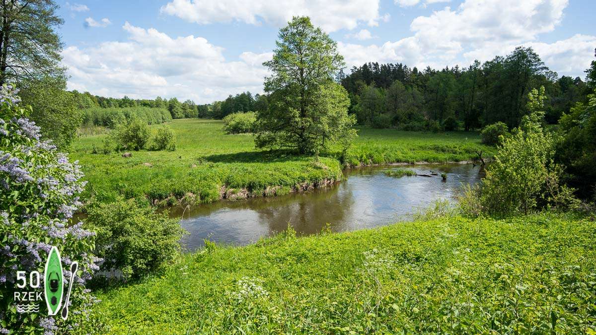 Der Fluss Łyna in Ermland Online-Puzzle