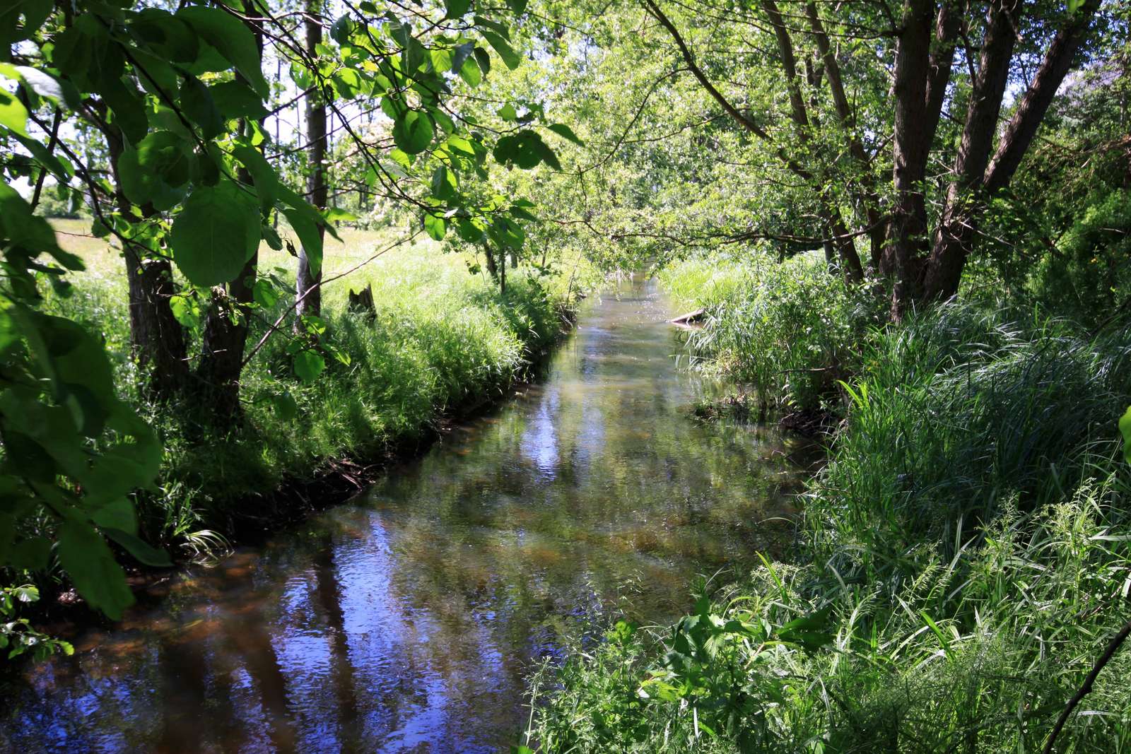 Der Fluss Mała Gunica im Feld Online-Puzzle