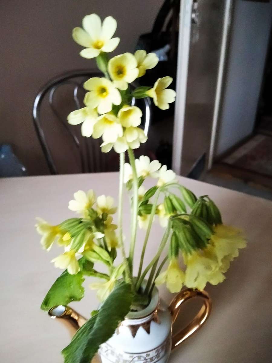 szerény virágok vázában kirakós online