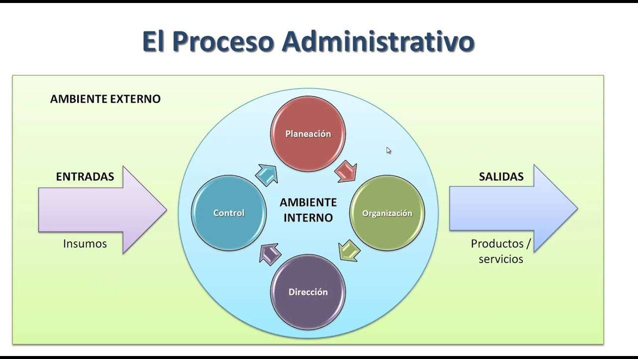 procesos y procedimientos administrativos rompecabezas en línea