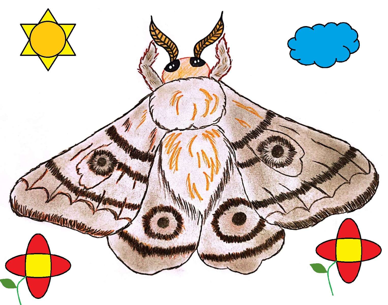 Insecte - Papillon de nuit puzzle en ligne