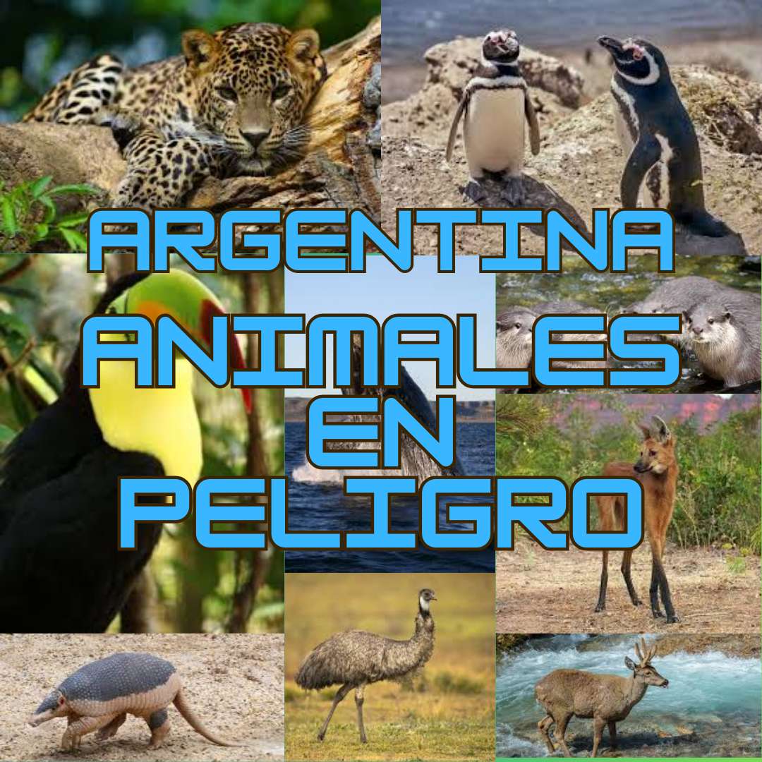 Argentine Animaux et Peligro puzzle en ligne