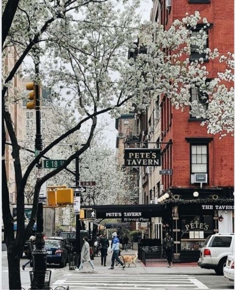 Frühling in den Straßen von New York City Online-Puzzle