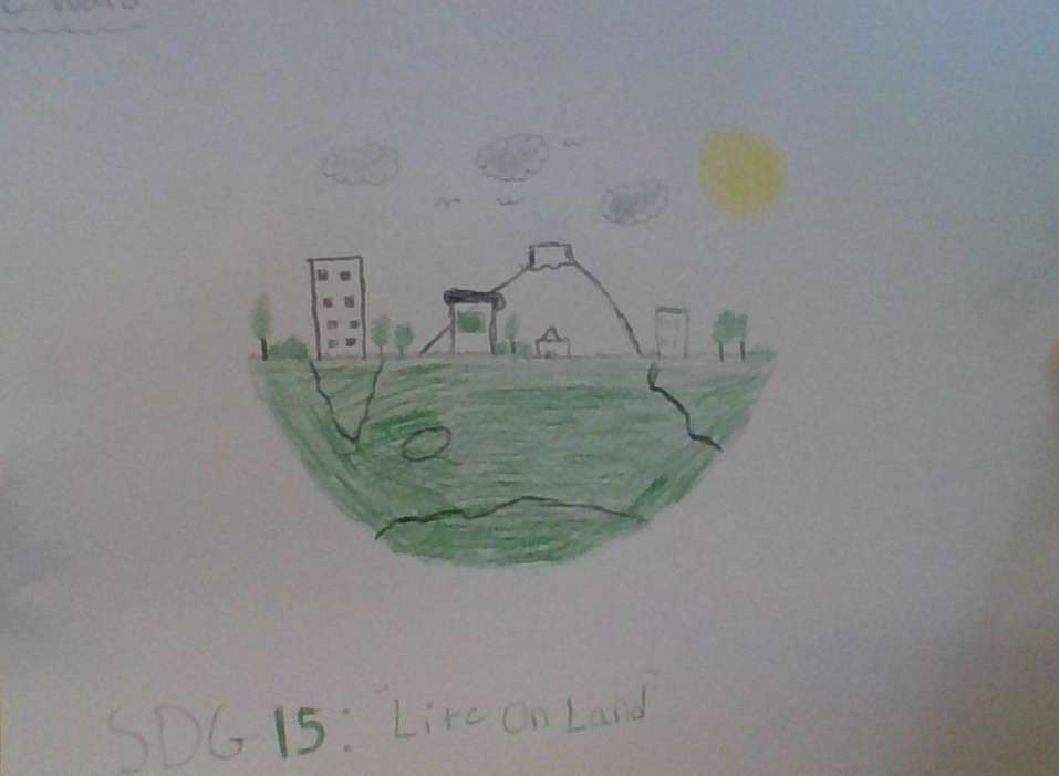 SDG 15: LIfe On Land online puzzle