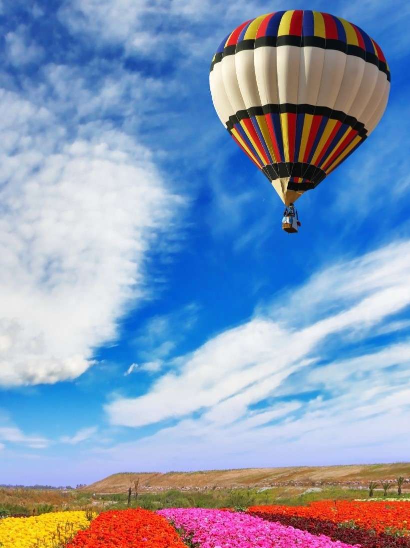 Vol en montgolfière au dessus d'un champ de fleurs puzzle en ligne