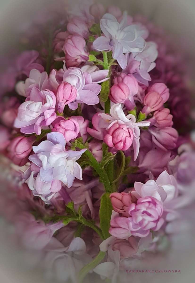 peinture bouquet de fleurs kirakós online