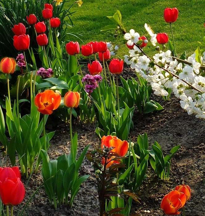 Пролетна градина онлайн пъзел