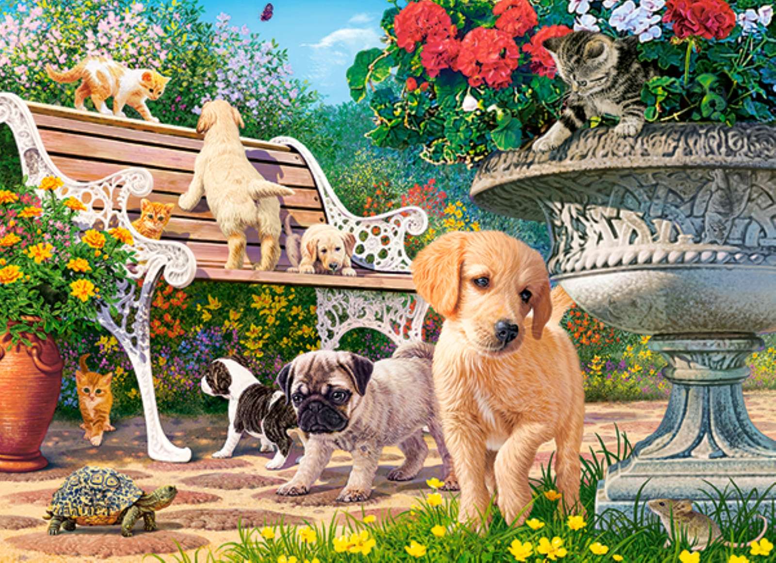 cuccioli, gattini e tartarughe in giardino puzzle online