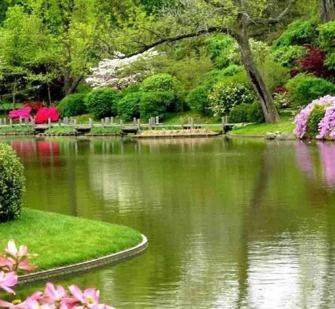 Frühling in einem Park mit Teich Puzzlespiel online