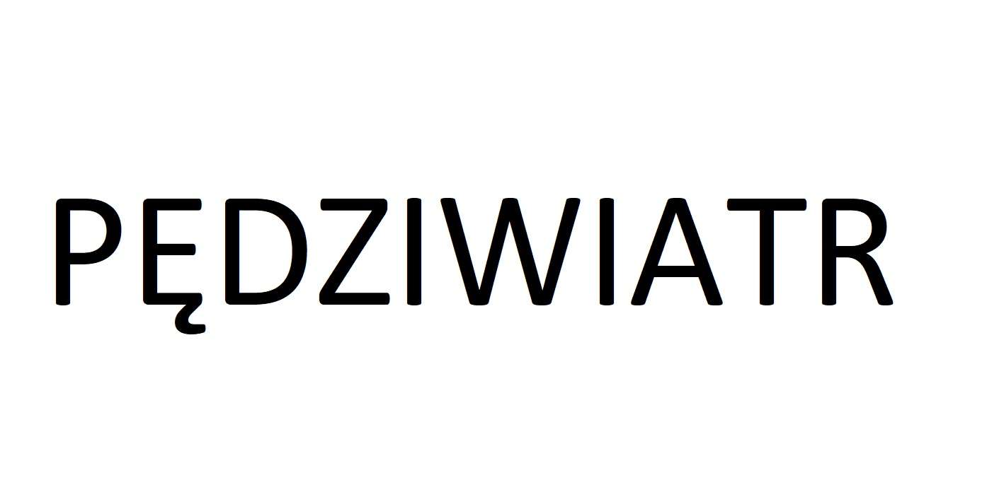 NAME PĘDZIWIATR PUZZLE FACTORY online puzzle