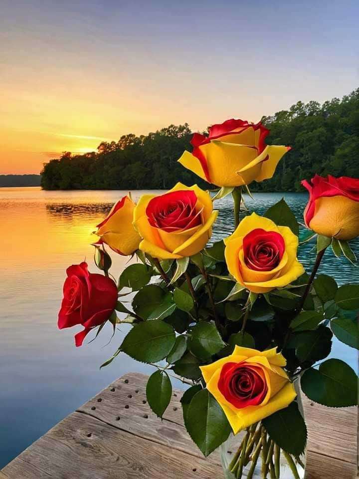 rosor på solnedgång bakgrund Pussel online