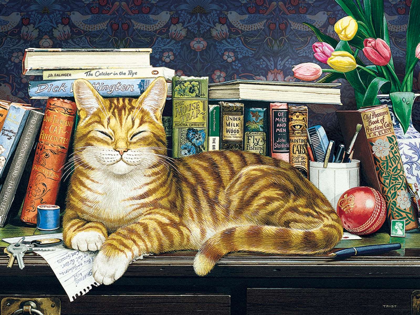 a macska a könyvek előtt a polcon online puzzle