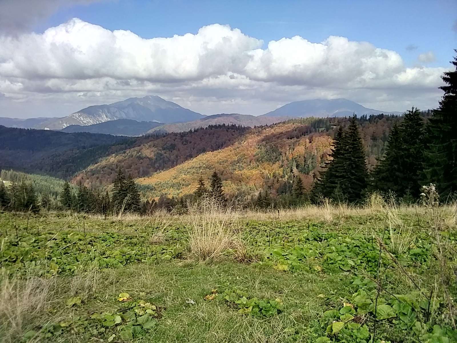 румънски планини онлайн пъзел