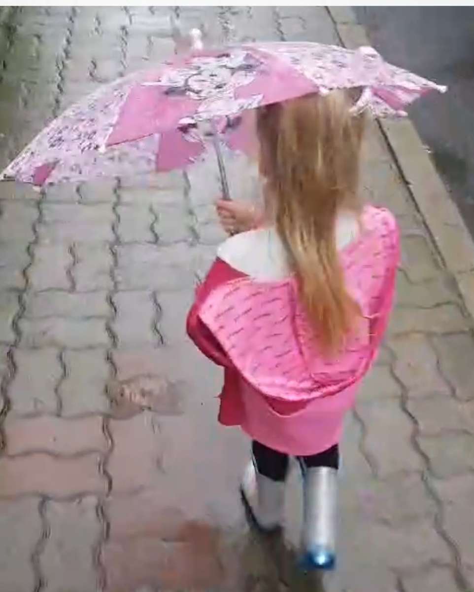летняя прогулка под дождем онлайн-пазл