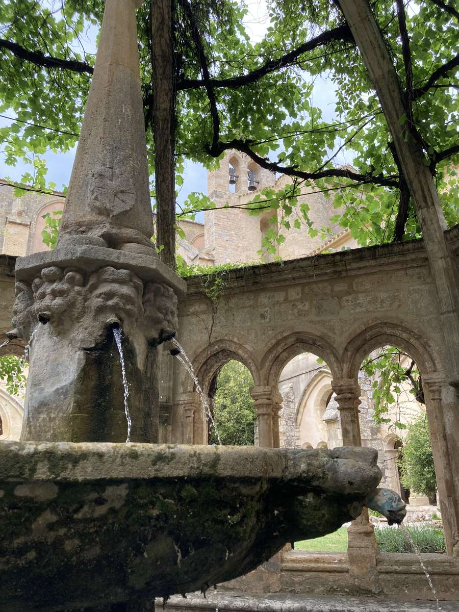 Abbaye de Valmagne pussel på nätet