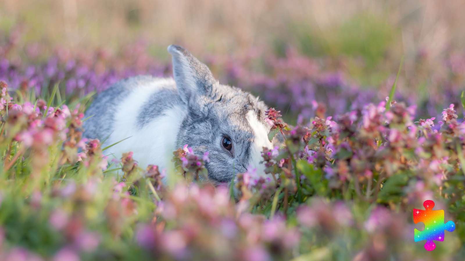 花の中のウサギの赤ちゃん オンラインパズル