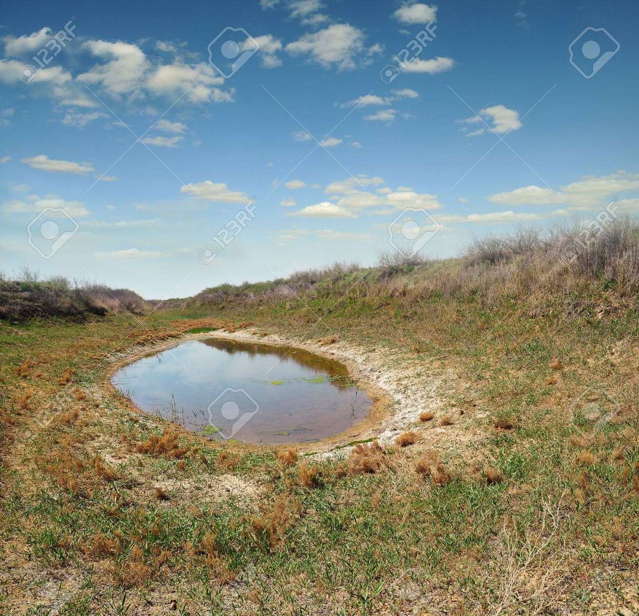 A small lake in the meadow jigsaw puzzle online