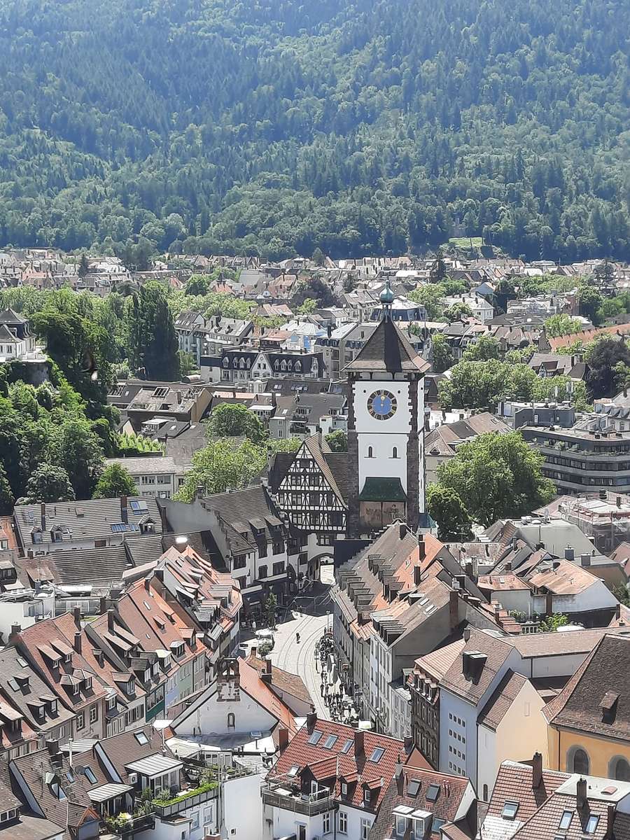 Panorama of Freiburg online puzzle
