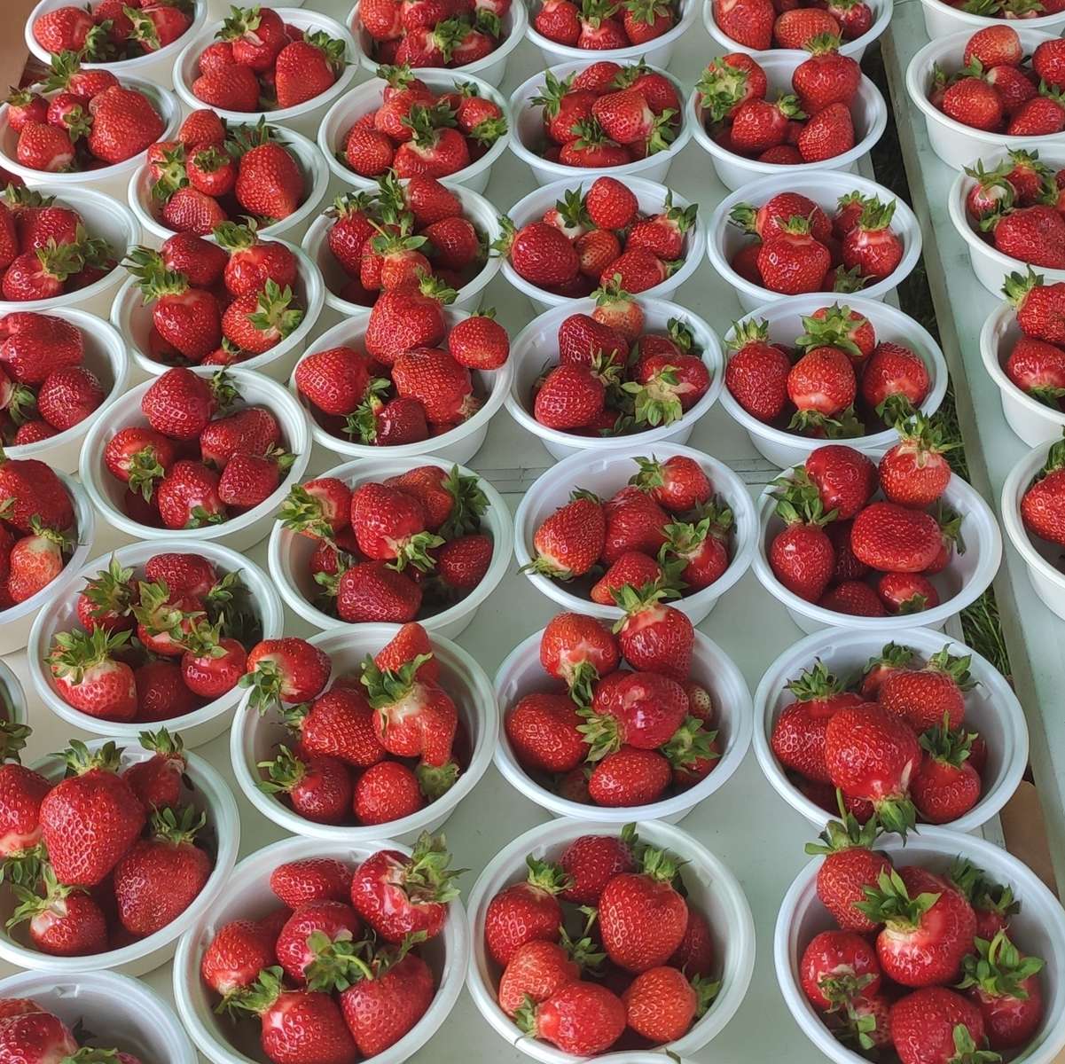Bols aux fraises puzzle en ligne