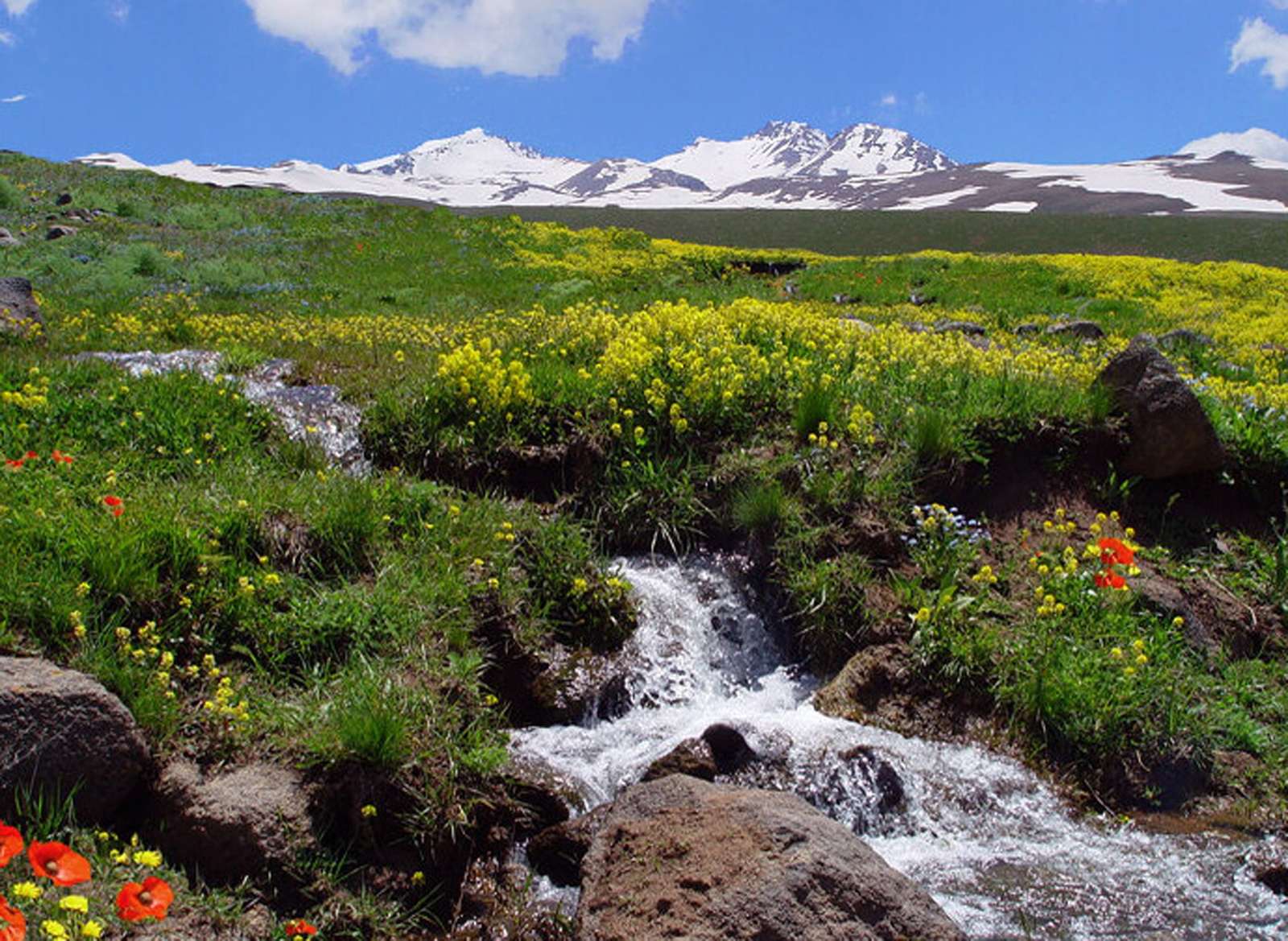 Pârâu de munte din Armenia puzzle online