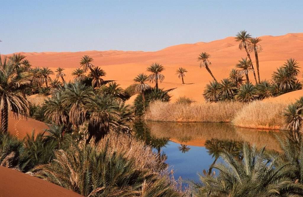 Oasis de Libia en el desierto rompecabezas en línea