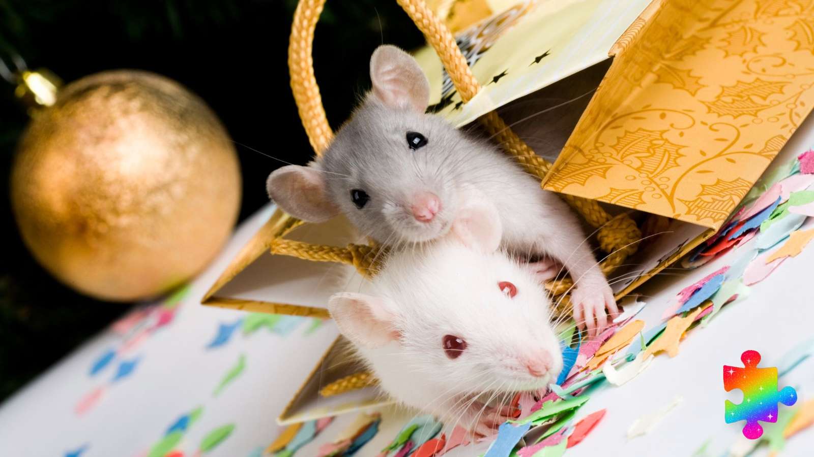 楽しんでいるネズミたち！ ジグソーパズルオンライン