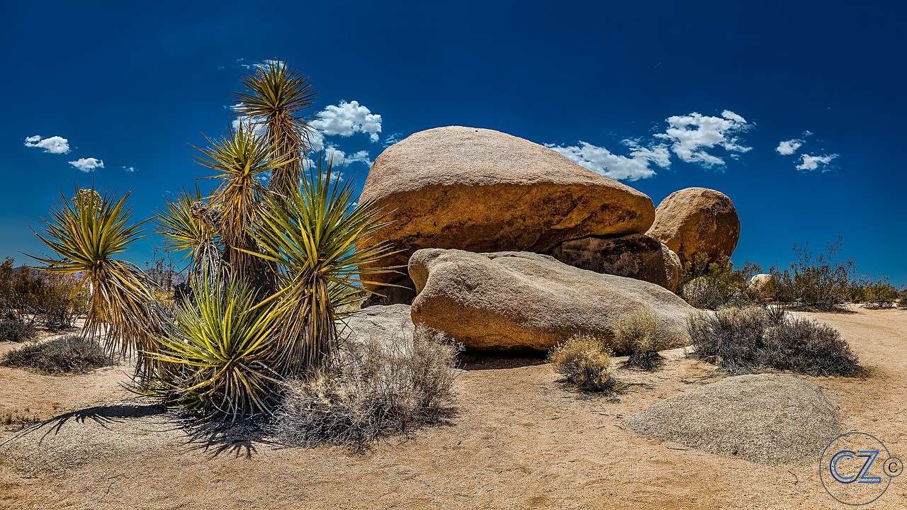 Stati Uniti, California, parco nazionale di Joshua Tree puzzle online