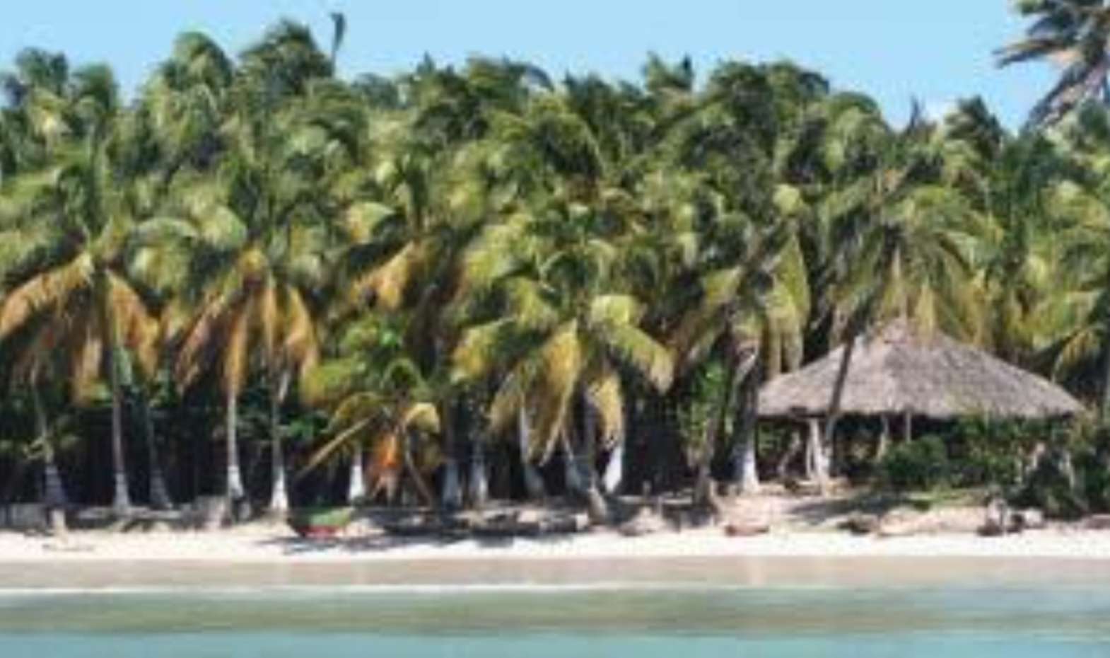 Beautiful Tropical Beach of Haiti online puzzle