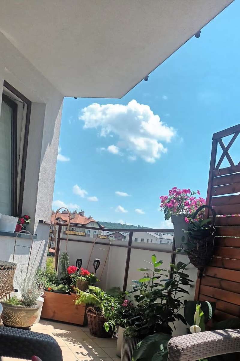цветя на балкона, изглед към облаците онлайн пъзел