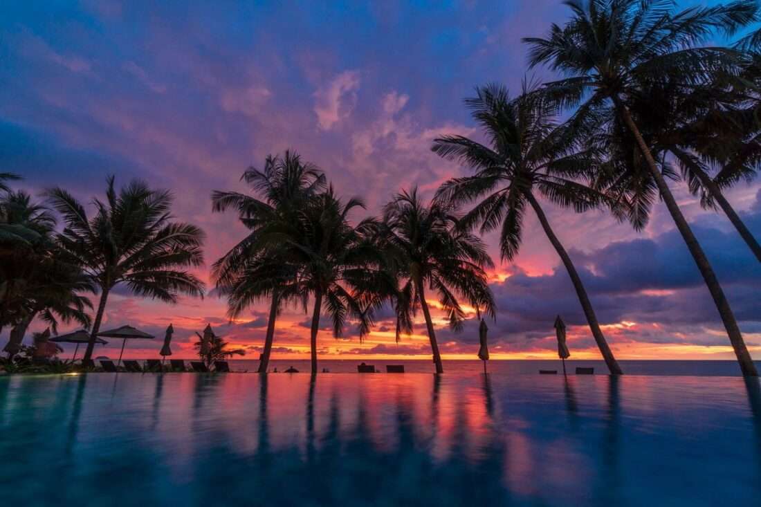 sunset behind the palm trees jigsaw puzzle online