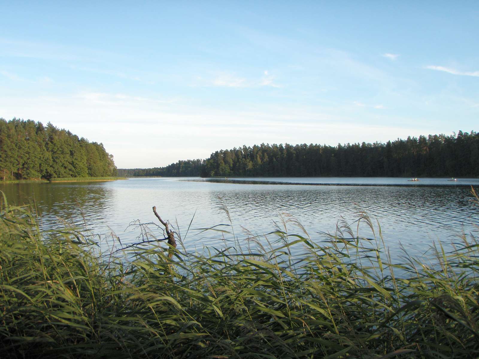 Jezero Rospuda Augustowska online puzzle