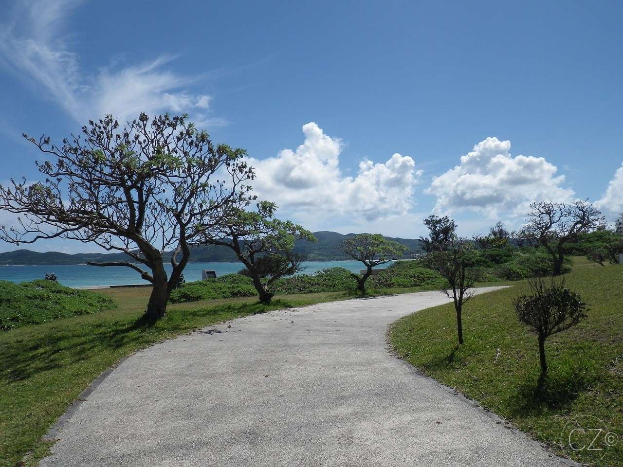 Okinawa, Naturaleza, Mar rompecabezas en línea