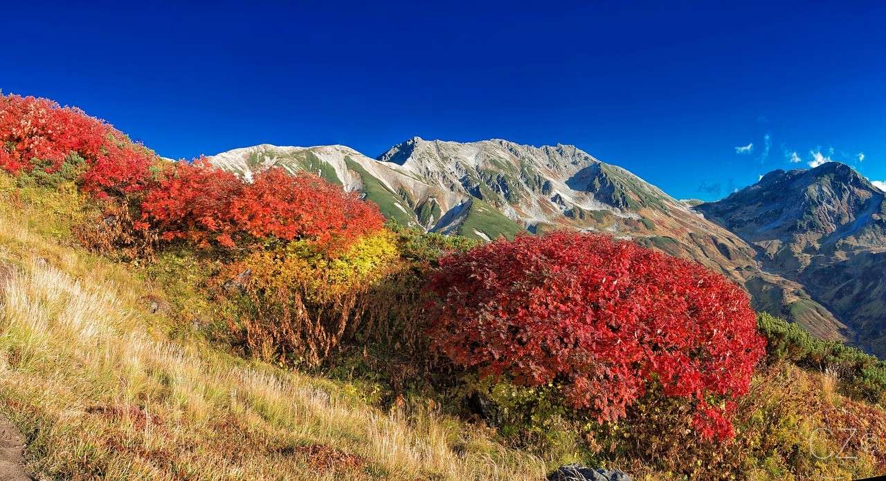 Ορεινό τοπίο, Φθινοπωρινά φύλλα, Φθινόπωρο παζλ online