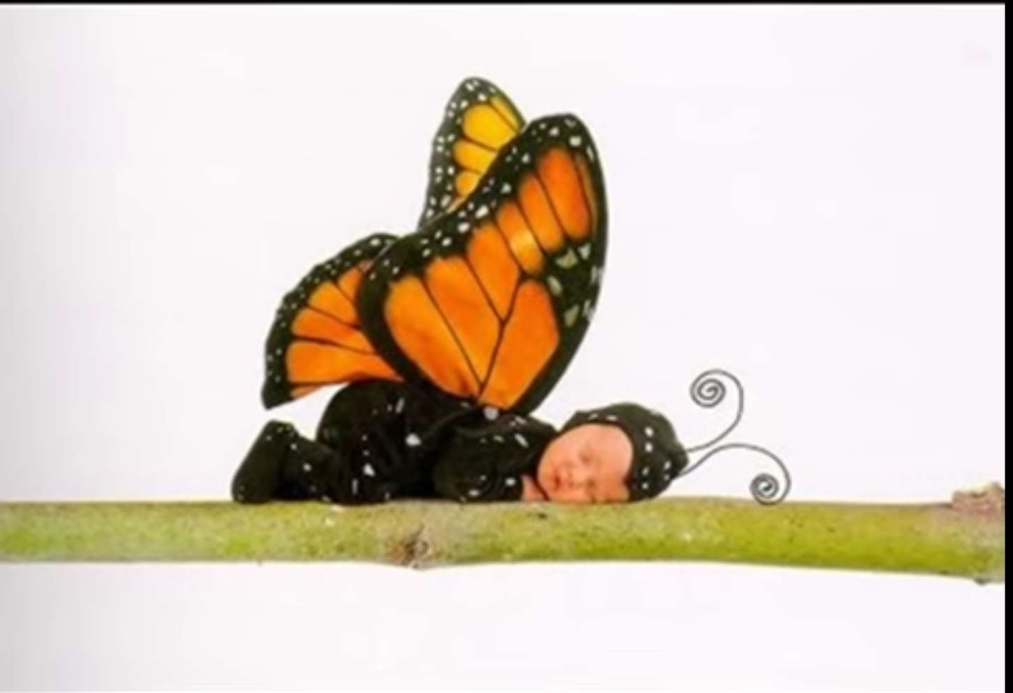 A child sleeps on a stem dressed as a butterfly online puzzle