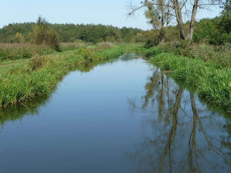 Fluss Sanna, Woiwodschaft Lubelskie Online-Puzzle
