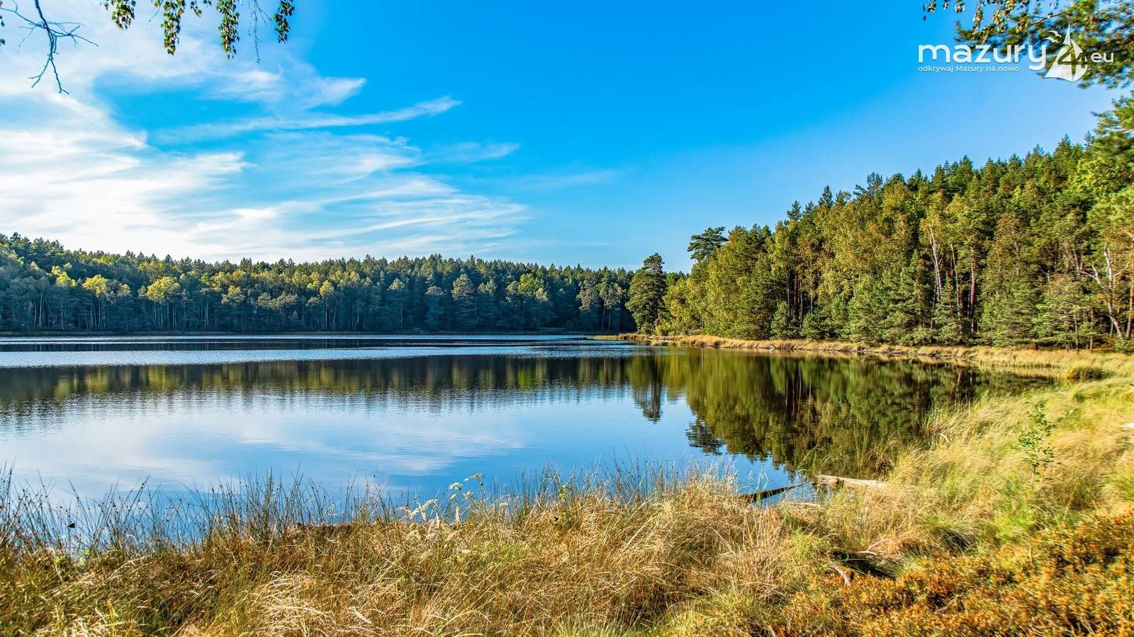 Lake Wesołek, summer jigsaw puzzle online