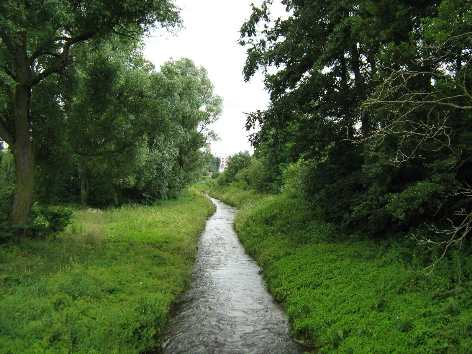 Biała Łada-floden, Lubelskie-provinsen pussel på nätet