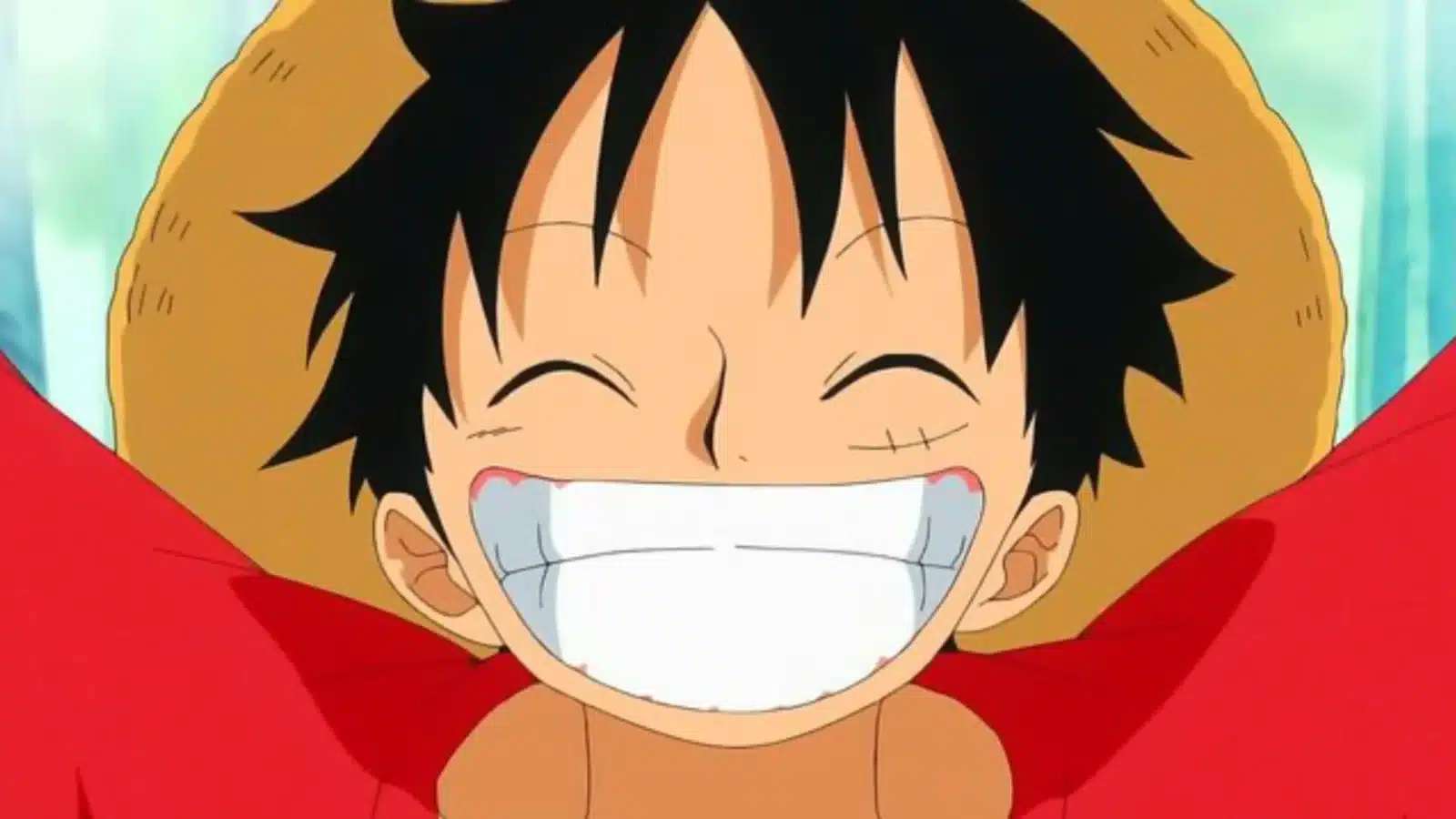 LuffySmile Pussel online