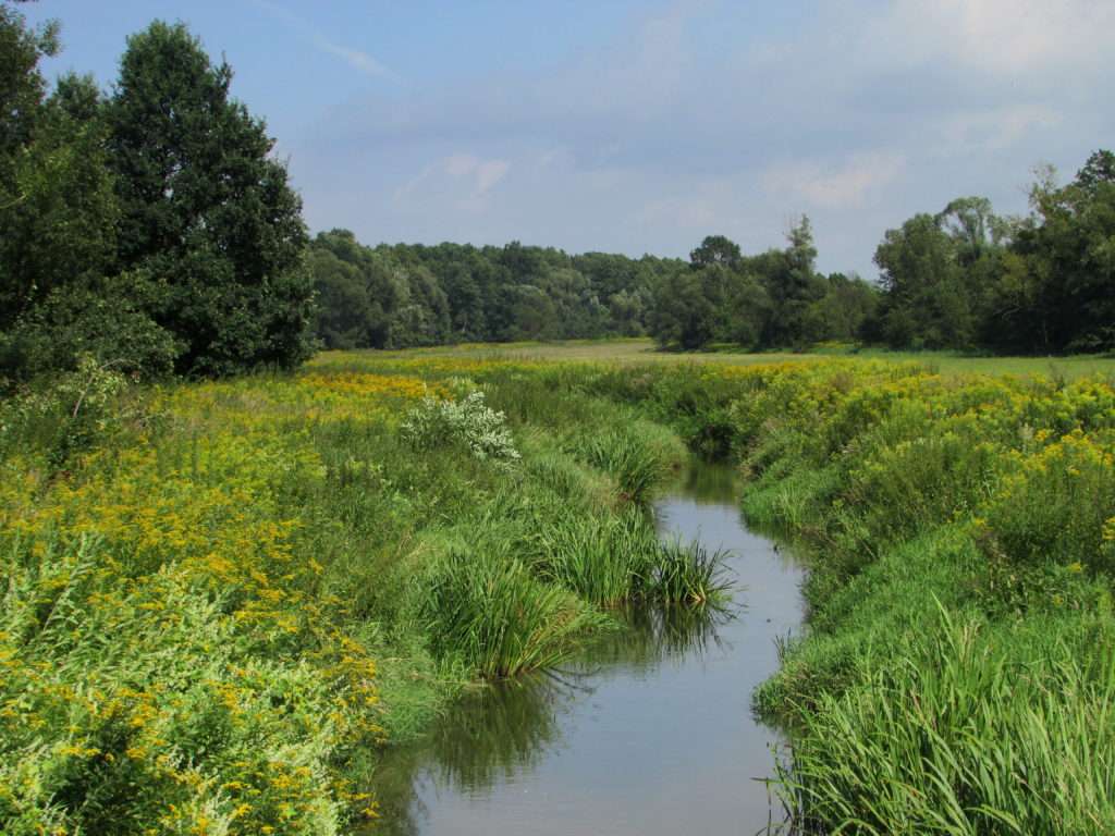 The river meanders in the fields jigsaw puzzle online