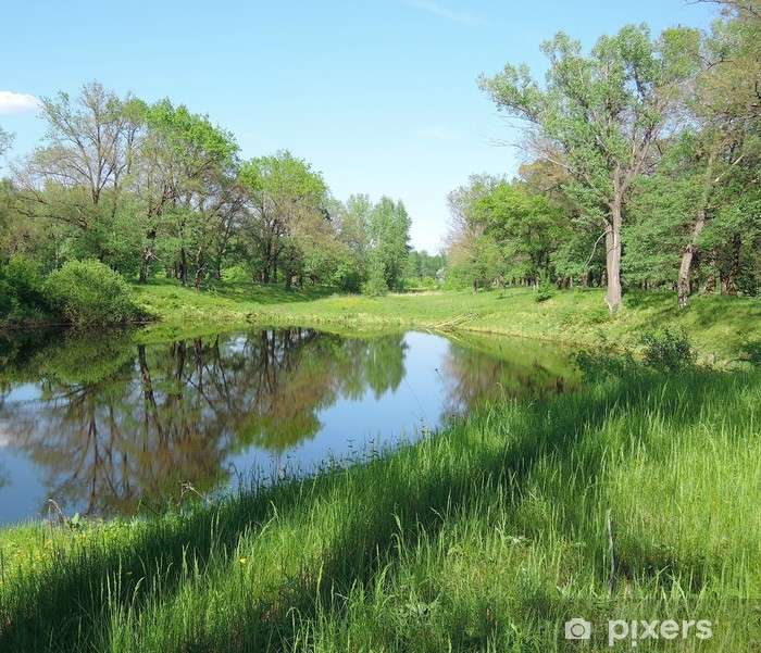 Un lac dans la forêt d'été puzzle en ligne