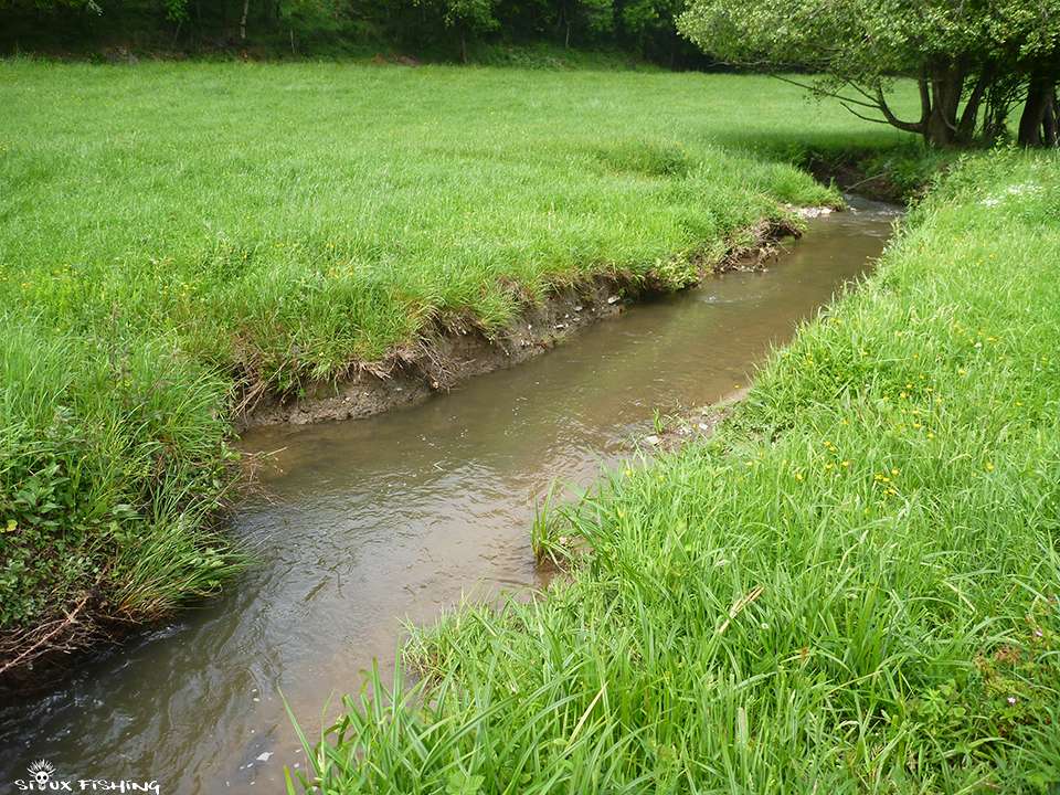 Beautiful stream in the field online puzzle